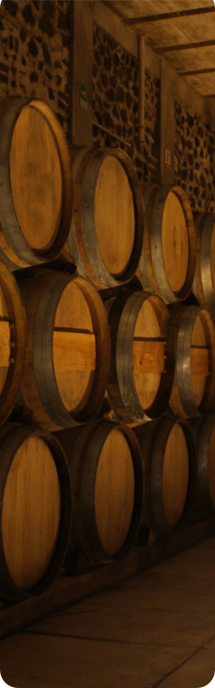 Barriles de Tequila